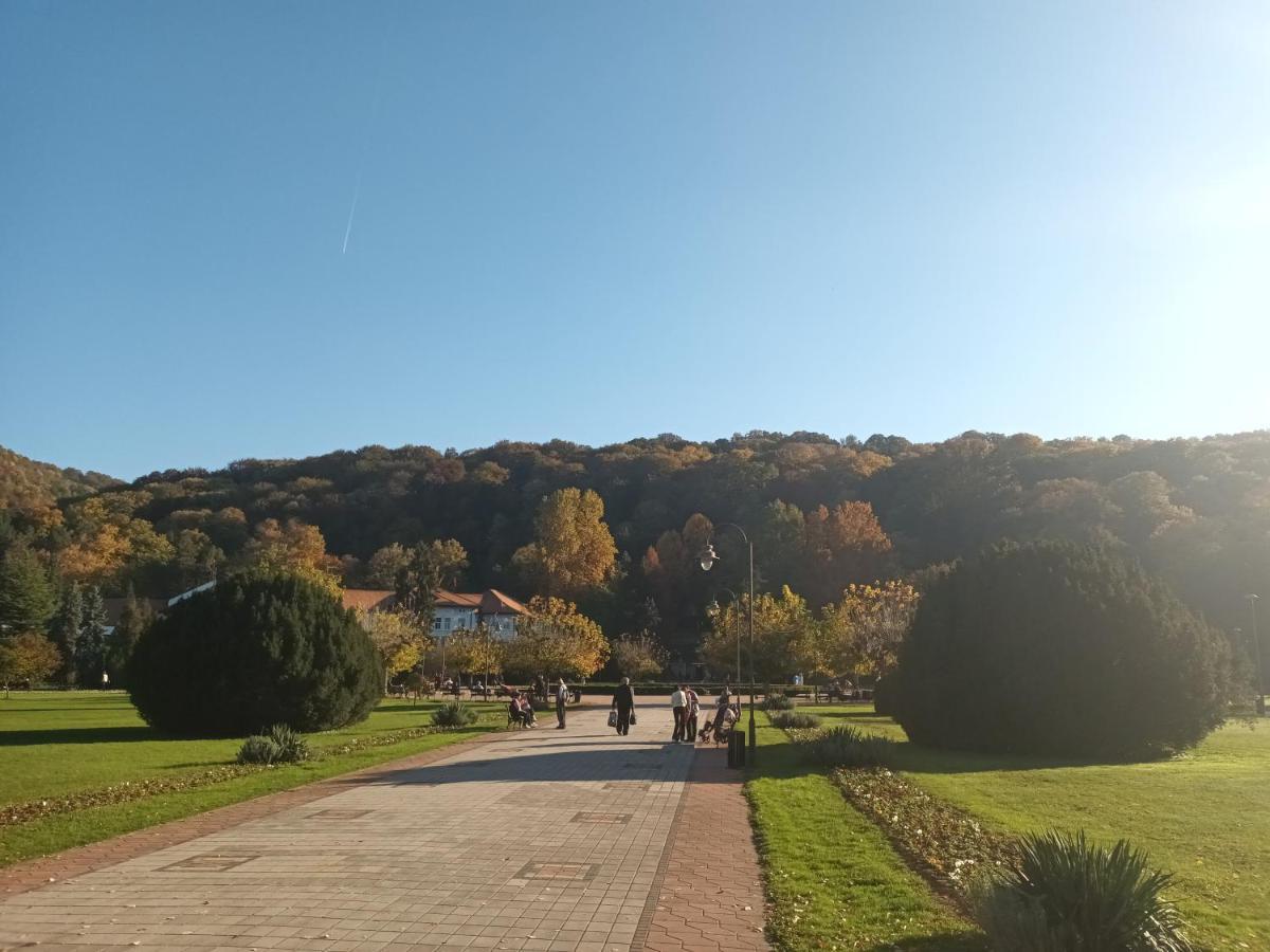 Apartman Lavanda Banja Koviljača Exterior foto